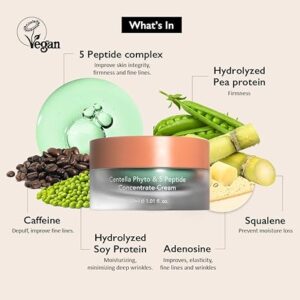 HARUHARU Wonder Centella Phyto & 5 Peptide Concentrate Cream, Daily & Night Cream, Nourishing, Wrinkles improvement for all skin types, Vegan, Cruelty-Free 1.01 fl. Oz - Image 6